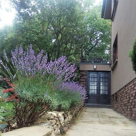Apartman V Zahrade Praha Troja - Apartment In The Garden Prague Troja Екстер'єр фото